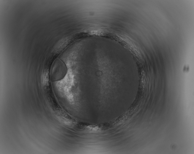 X0000093750502200711061051