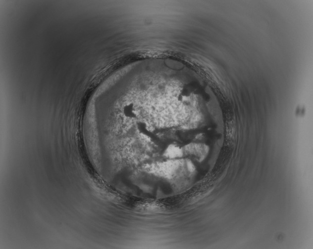 X0000093750503200711061051