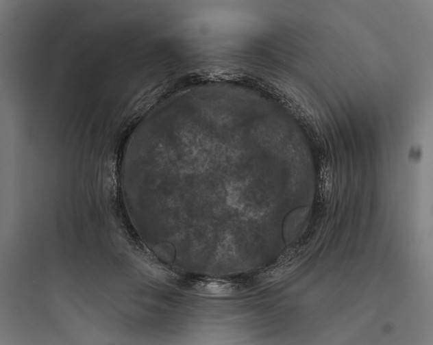 X0000093750506200711061051