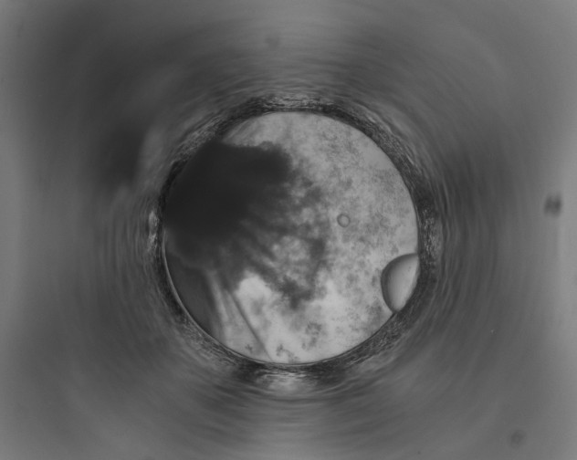 X0000093750507200711061051