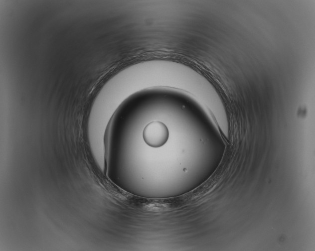 X0000093750508200711061051