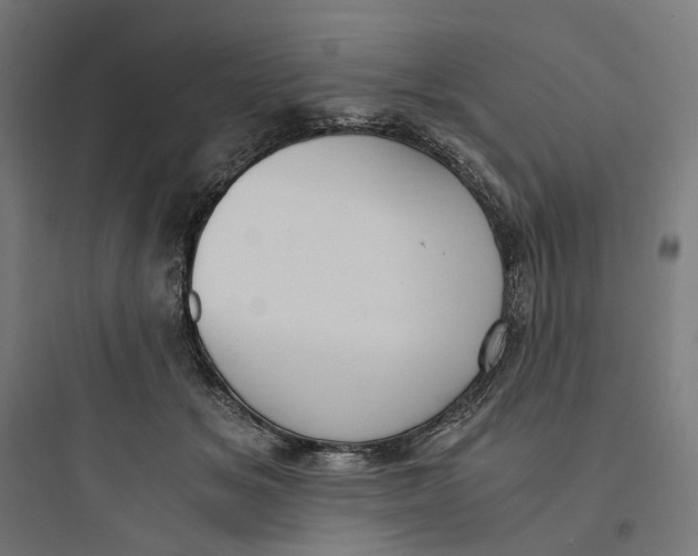 X0000093750509200711061051