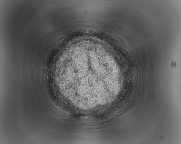 X0000093750511200711061051