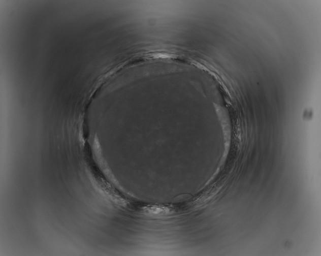 X0000093750512200711061051