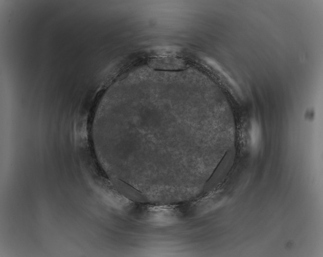 X0000093750516200711061051