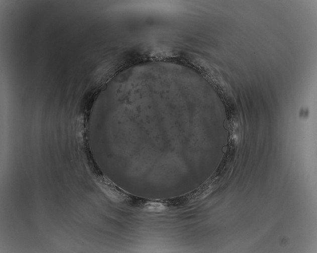 X0000093750519200711061051