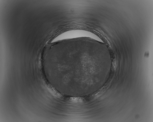 X0000093750520200711061051