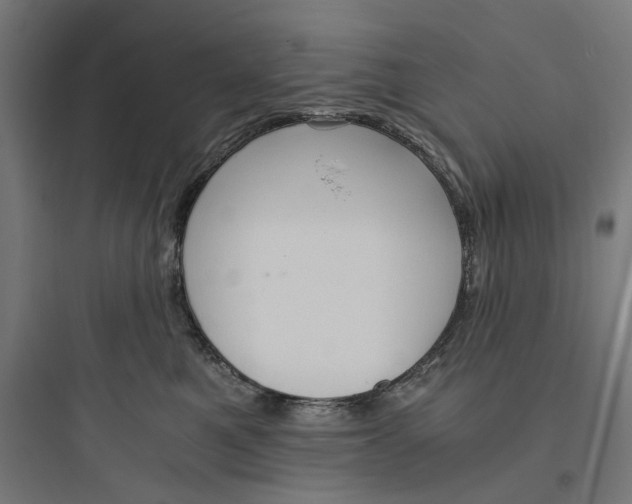 X0000093750521200711061051