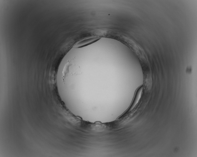 X0000093750525200711061051
