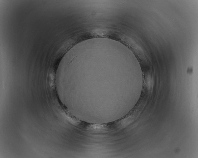 X0000093750526200711061051