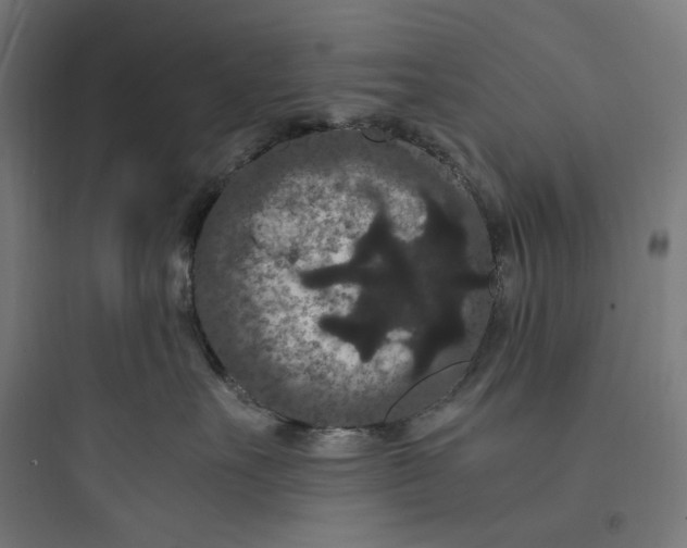 X0000093750527200711061051