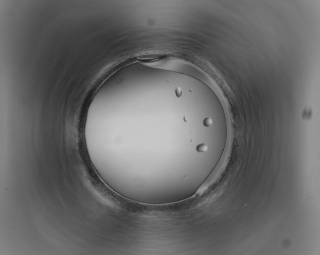 X0000093750530200711061050
