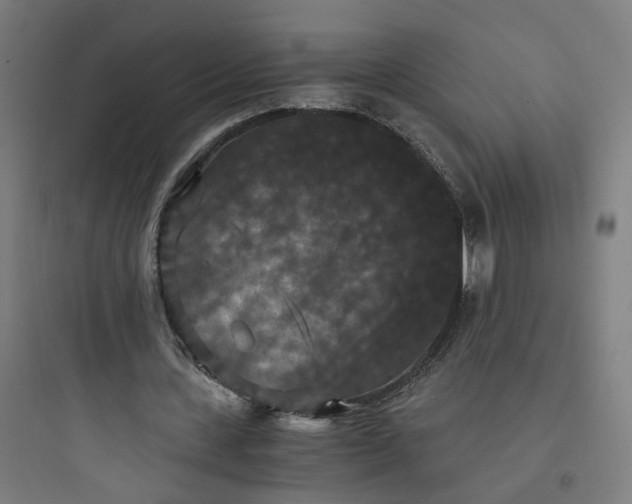 X0000093750531200711061050