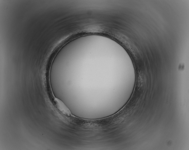 X0000093750535200711061050