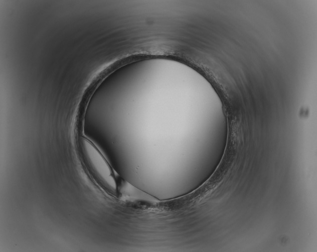 X0000093750536200711061050