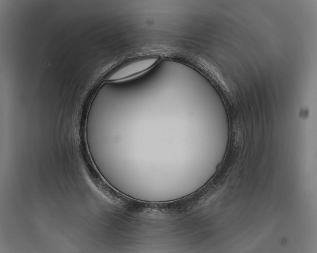 X0000093750538200711061050