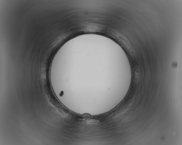 X0000093750539200711061050