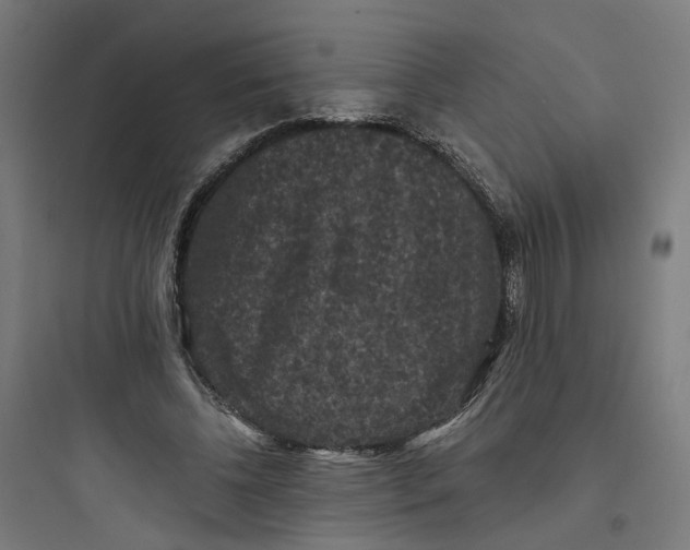 X0000093750540200711061050