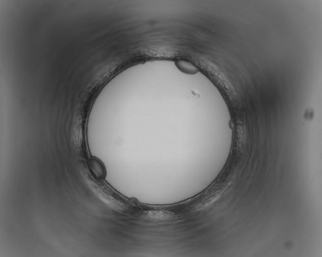 X0000093750541200711061050