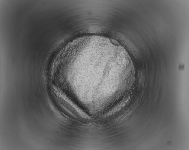 X0000093750542200711061050