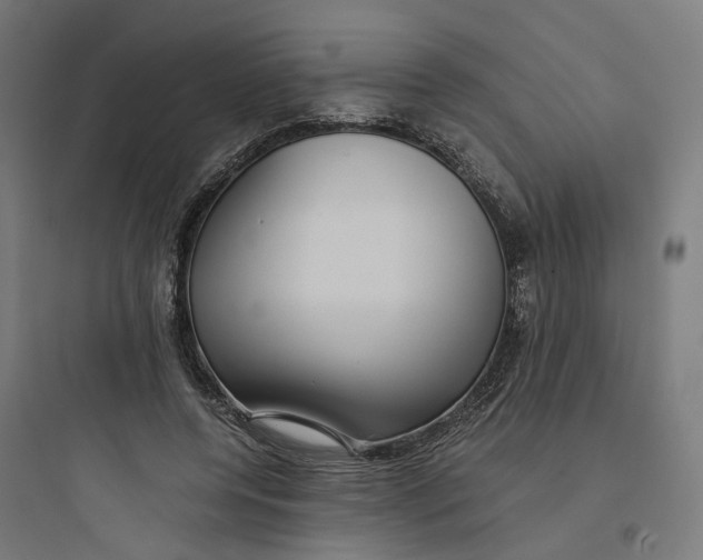 X0000093750544200711061050