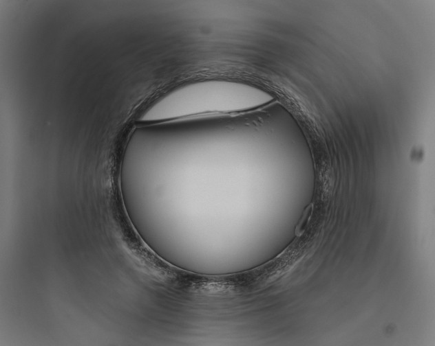 X0000093750546200711061050