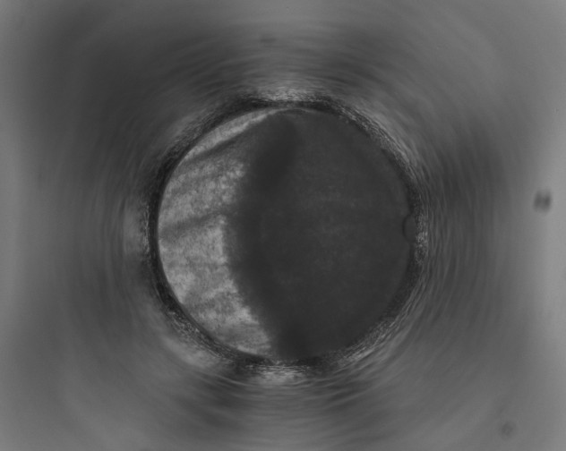 X0000093750547200711061050