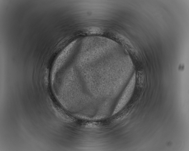 X0000093750550200711061050