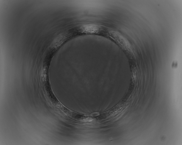 X0000093750551200711061050