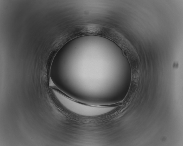 X0000093750552200711061050