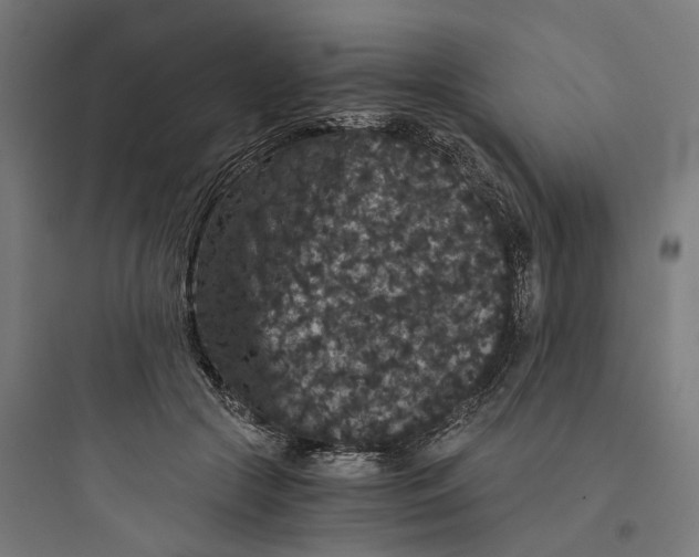 X0000093750553200711061050