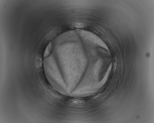 X0000093750555200711061050