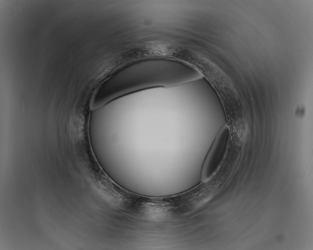 X0000093750556200711061050