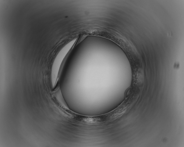 X0000093750558200711061050