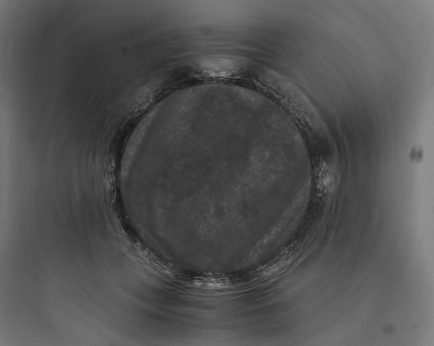 X0000093750559200711061050