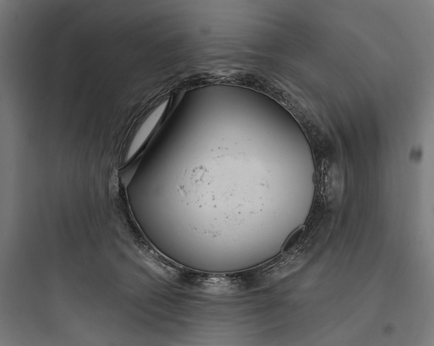 X0000093750562200711061050
