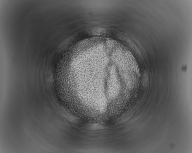 X0000093750569200711061050