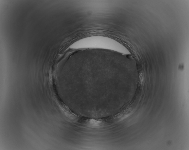 X0000093750570200711061050