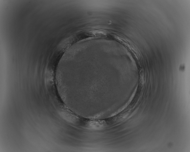 X0000093750571200711061051