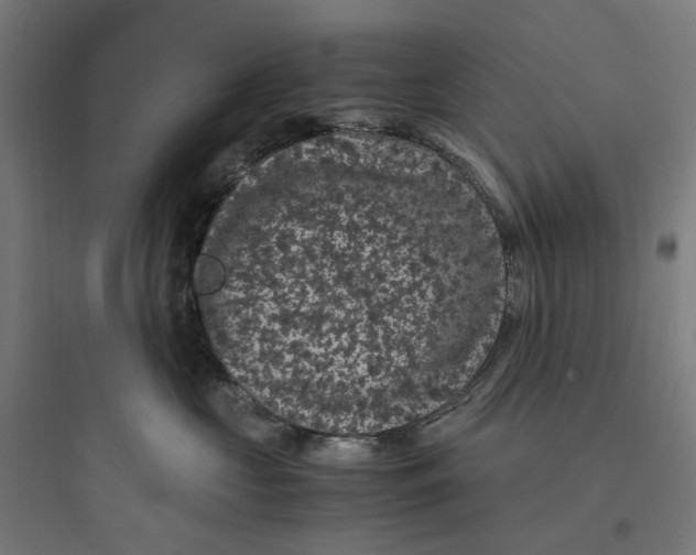 X0000093750573200711061051