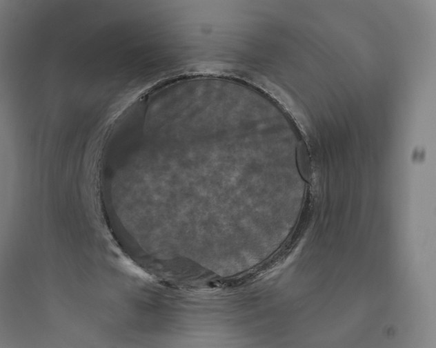 X0000093750577200711061050
