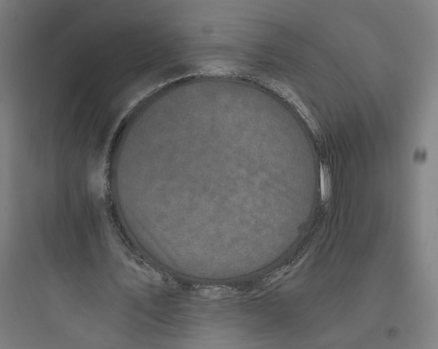 X0000093750579200711061050