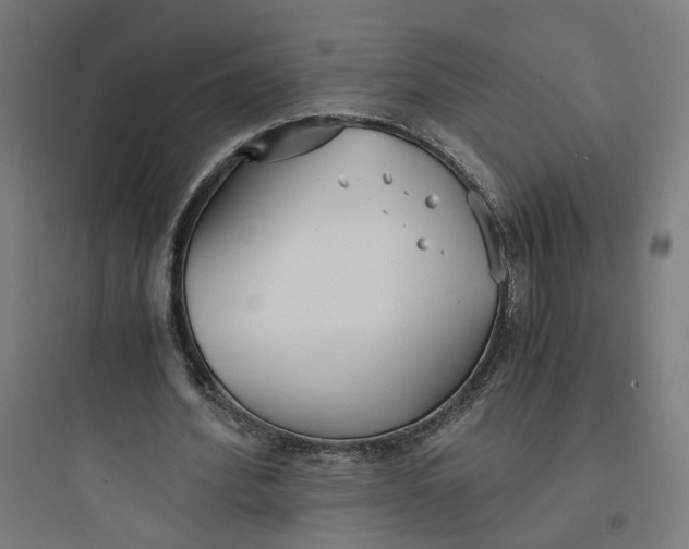 X0000093750580200711061050