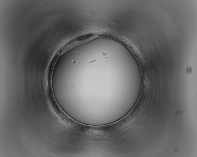 X0000093750582200711061050