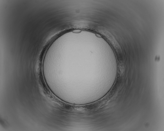 X0000093750583200711061050