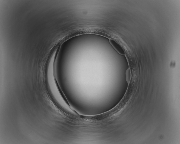 X0000093750585200711061050