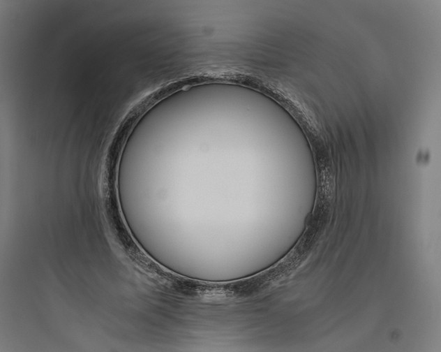 X0000093750587200711061050