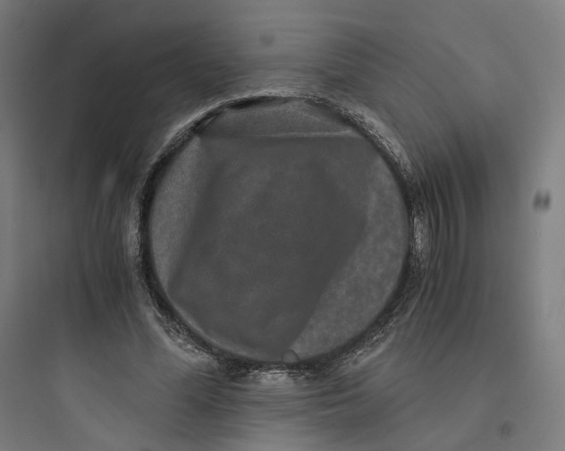 X0000093750588200711061050