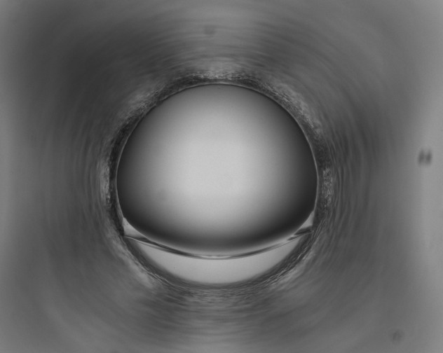 X0000093750589200711061050