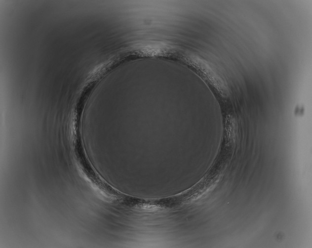 X0000093750590200711061050